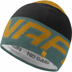 Čiapka Dynafit Čiapka Dynafit RADICAL BEANIE