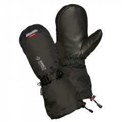 Rukavice Direct Alpine THERMO MITT