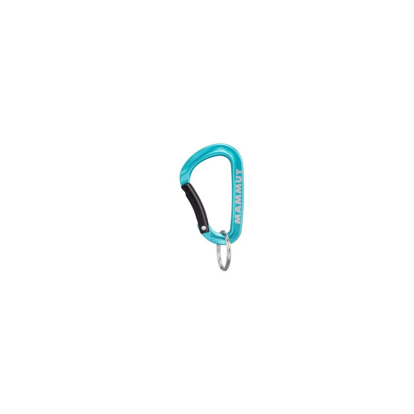 Karabina Mammut Mammut Mini Carabiner Classic Keylock S