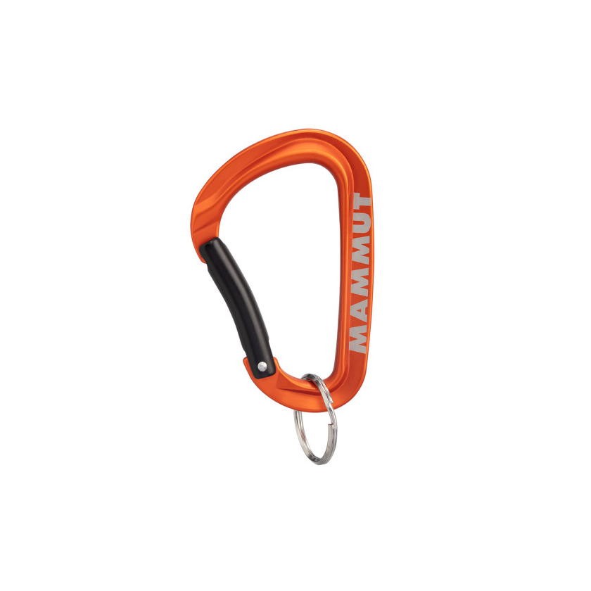 Karabina Mammut Mammut Mini Carabiner Workhorse Keylock L