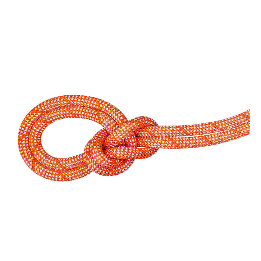 Lano Mammut 9.8 Crag Classic Rope