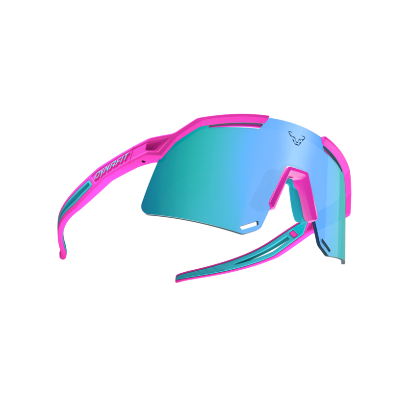 Okuliare Dynafit Ultra Evo Sunglasses