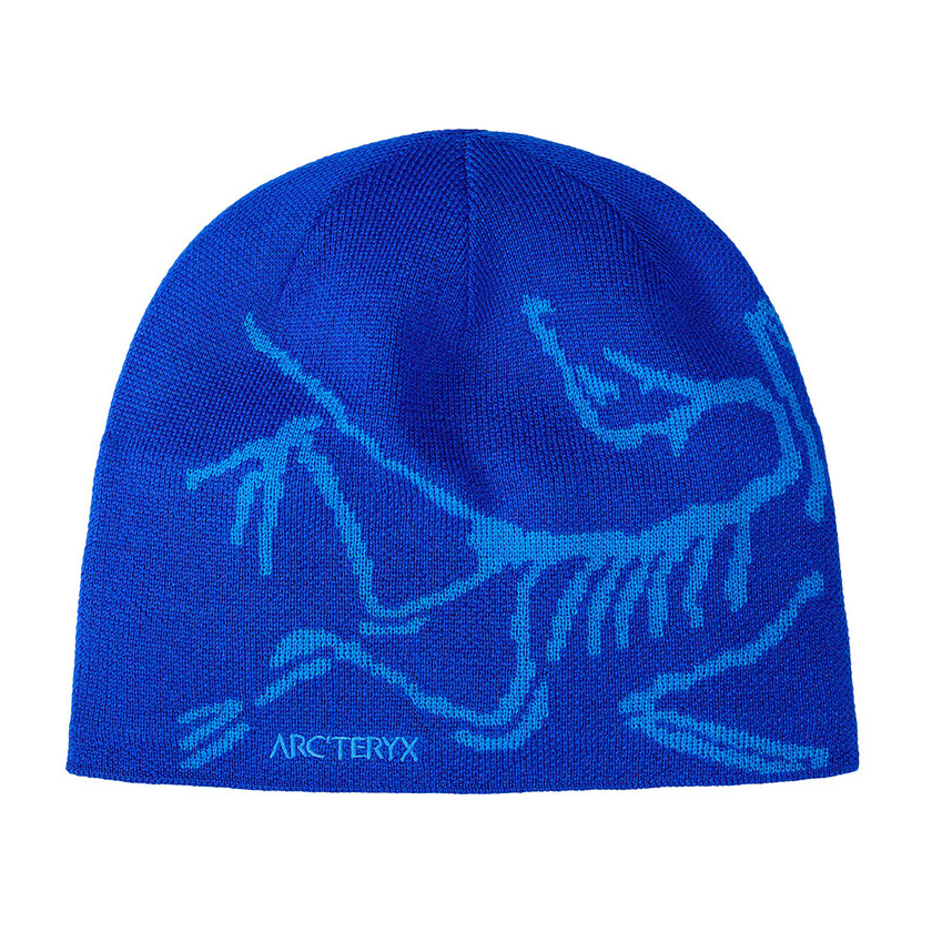 Čiapka Arcteryx Bird Head Toque